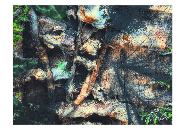 Nature peinture