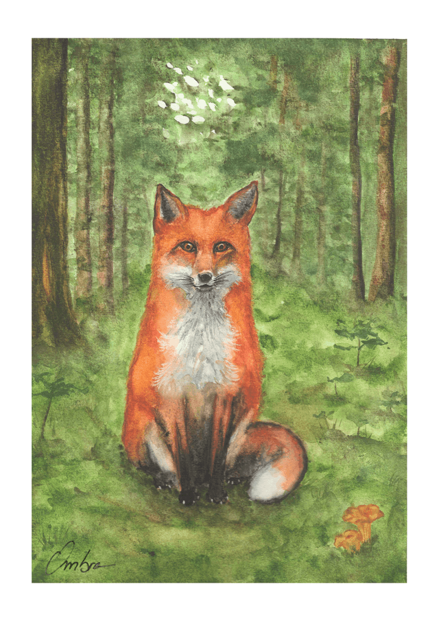 Renard