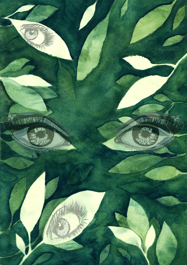 Vision