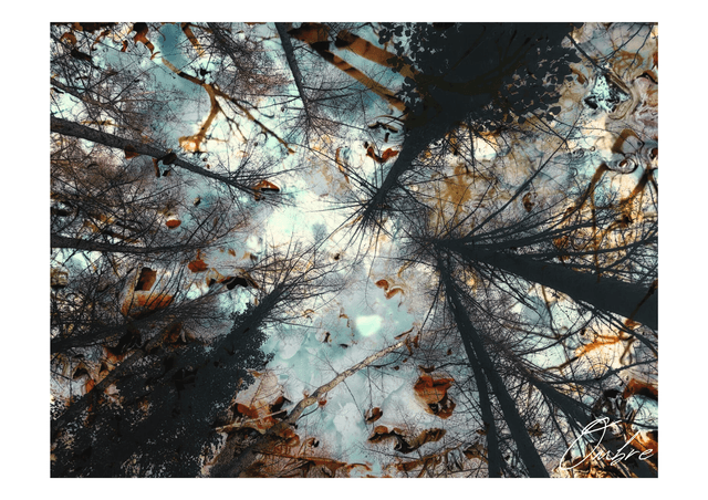 L&#039;eau du ciel