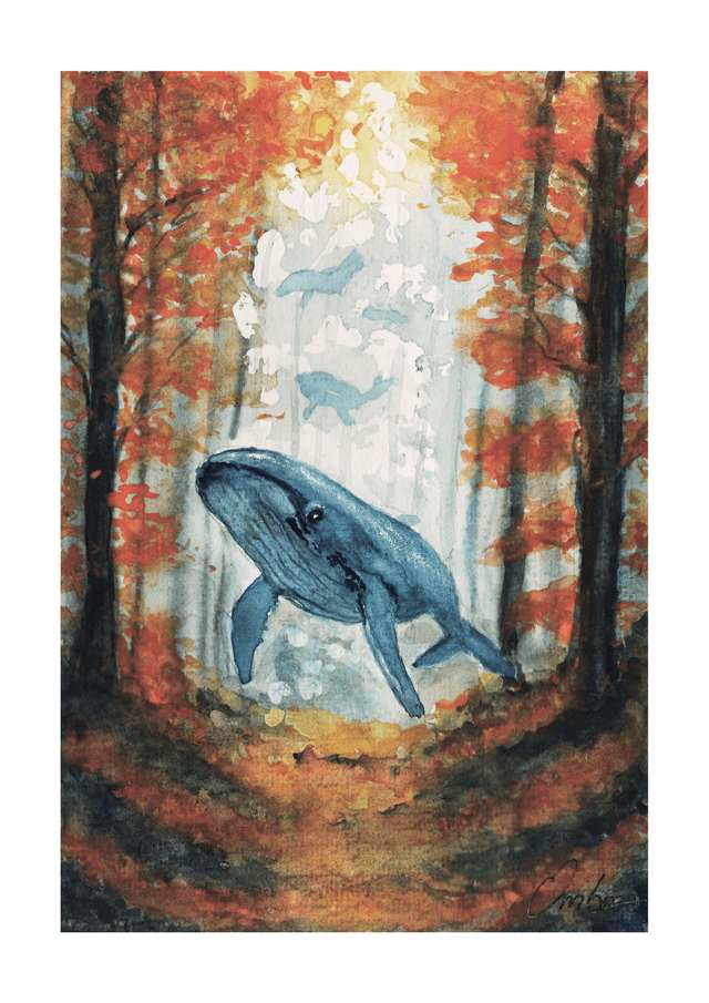 Baleine Automnale